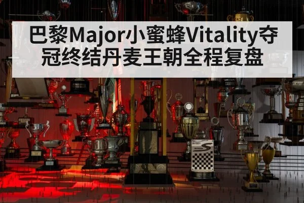 巴黎Major小蜜蜂Vitality夺冠终结丹麦王朝全程复盘